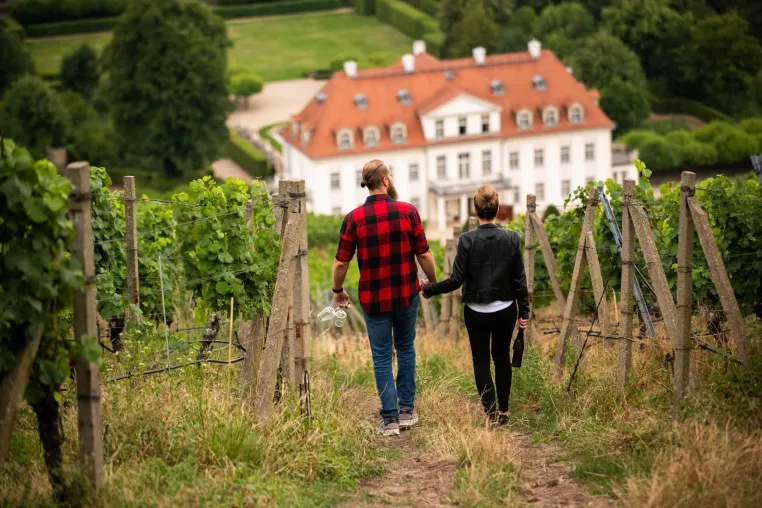 Bild: Höhepunkt im Weinjahr: Tage des offenen Weingutes in Sachsen
