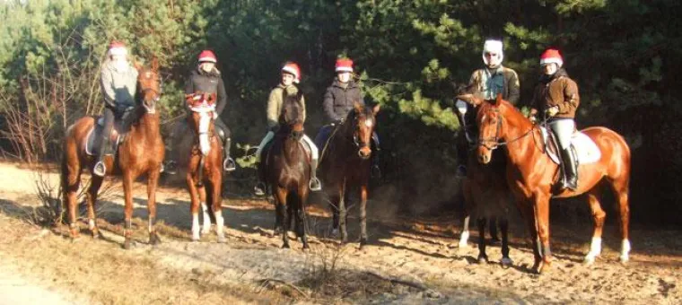 Bild: Systematisches Training im Kinder- und Jugendsport in Berlin - Reiten, Fahren, Voltigieren