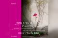 Cover "Pone spes in planctu amaro"