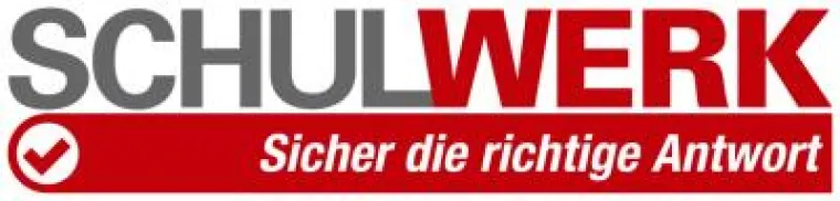 Bild: Professionelle Nachhilfeinstitute übernehmen den schulischen Förderunterricht