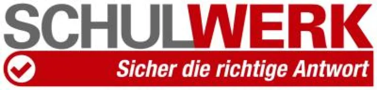 Professionelle Nachhilfeinstitute übernehmen den schulischen Förderunterricht Bild: Professionelle Nachhilfeinstitute übernehmen den schulischen Förderunterricht