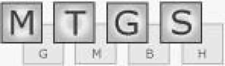 Bild: ERP & Co. Glücksspiel oder kalkulierbare Investition?