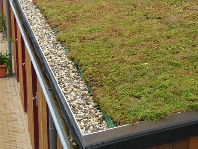 Bild: Begrünung mit Profi-Systemen
