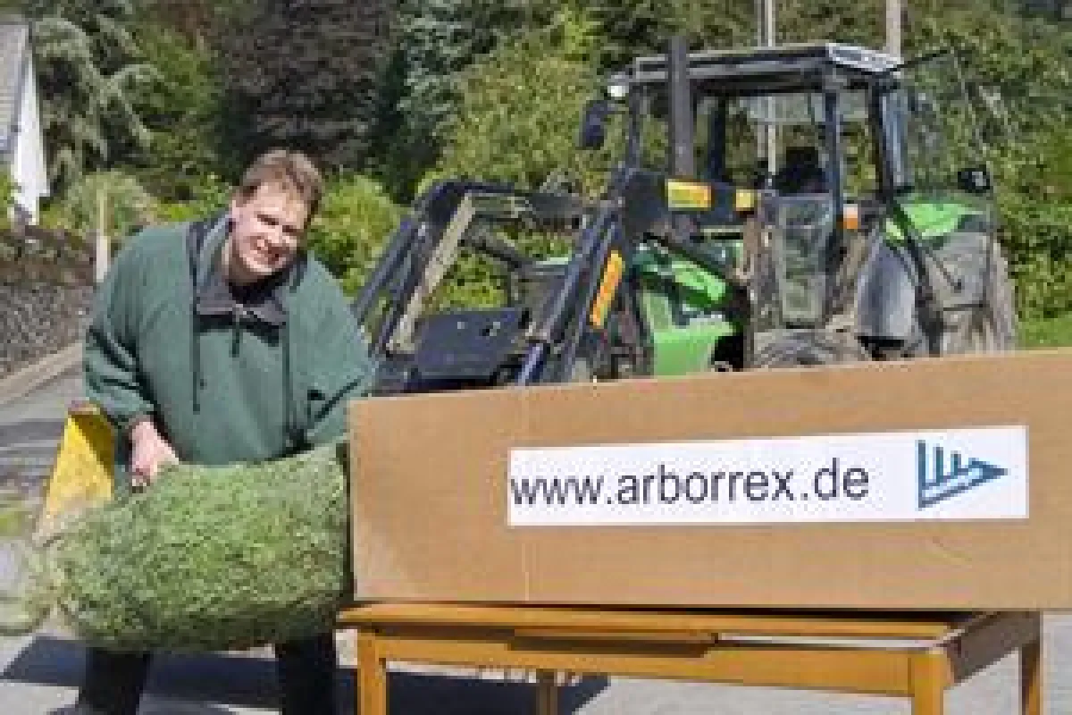 Elmar Gödde vertreibt seine Weihnachtsbäume ab November im Internet.