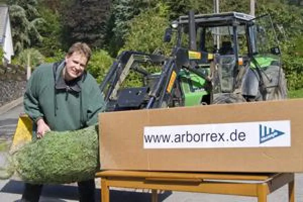 Innovative Geschäftsidee: Internetshop für Weihnachtsbäume Bild: Innovative Geschäftsidee: Internetshop für Weihnachtsbäume
