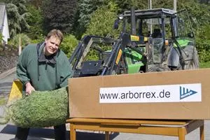 Bild: Innovative Geschäftsidee: Internetshop für Weihnachtsbäume