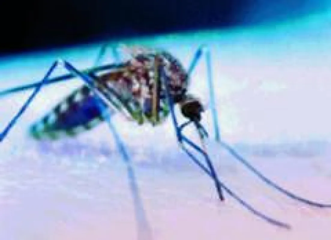 Mücken können zwar kaum sehen, haben aber ein sehr hoch entwickeltes Sinnesorgan das auf Duftmoleküle spezialisiert ist. Ihre Beute erkennen die Stechmücken am Geruch der Haut und am ausgeatmeten Ko