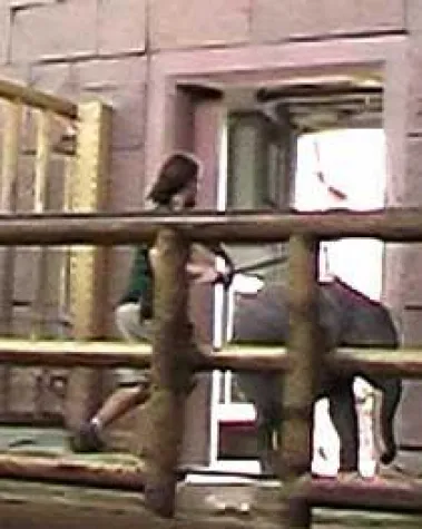 Bild: Prügelnder Tierpfleger soll ungestraft davonkommen