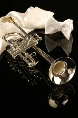 Die Sensation auf dem Blechblasinstrumentenmarkt bei Musik Amrein in Lübeck Bild: Die Sensation auf dem Blechblasinstrumentenmarkt bei Musik Amrein in Lübeck