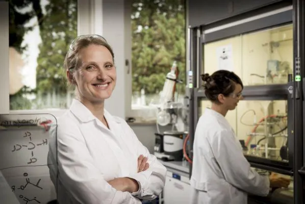 Bild: Modelle des Knochenmarks zur Erforschung von Blut- und Muskel-Skelett-Erkrankungen