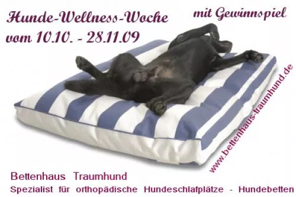 Bild: Hundebetten von Traumhund zu gewinnen