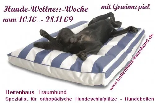 Bild: Hundebetten von Traumhund zu gewinnen