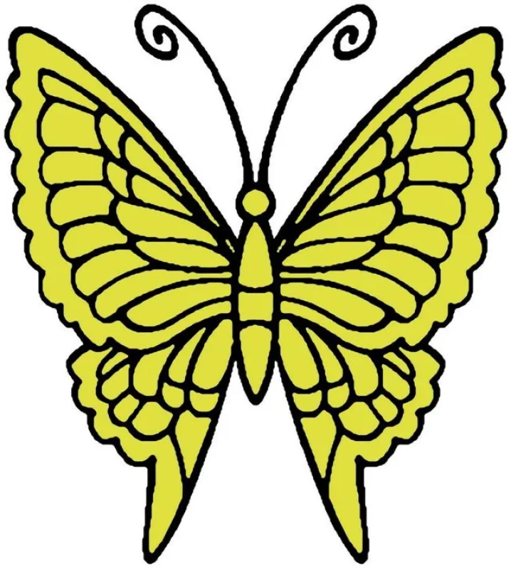 Vereinslogo Die Schmetterlinge e. V. - Schilddrüsenbundesverband