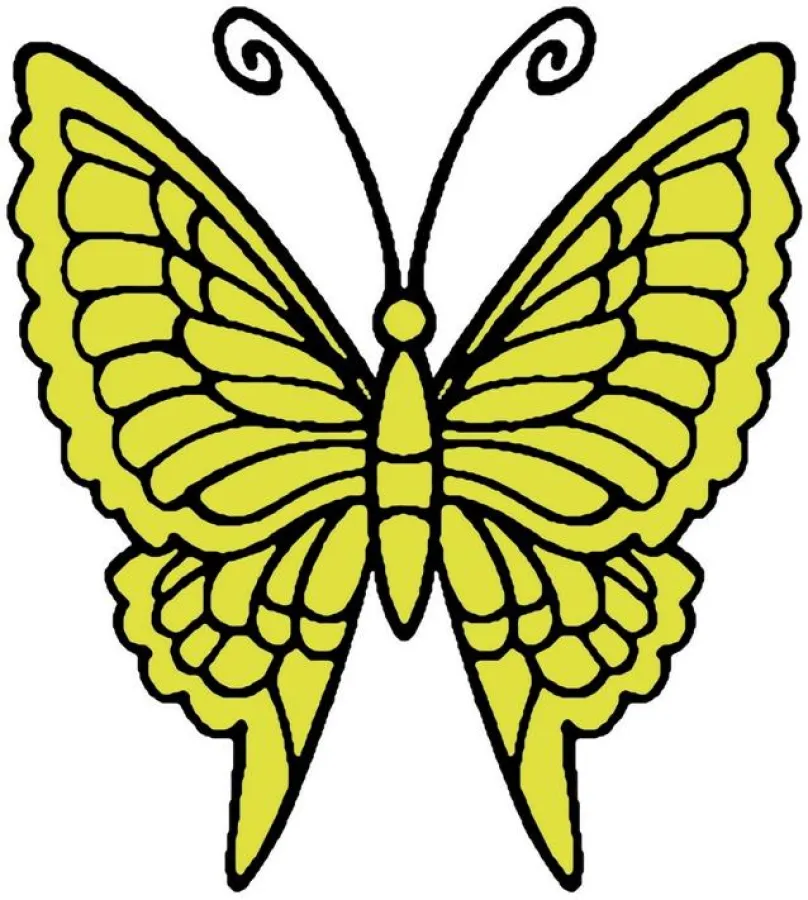 Vereinslogo Die Schmetterlinge e. V. - Schilddrüsenbundesverband