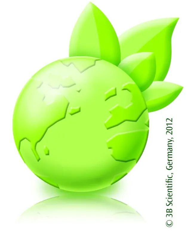 Grüner Planet: 3B Scientific senkt Kohlenstoffemissionen durch Recycling von Verkaufsverpackungen