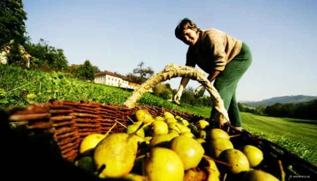 Bild: Mostherbstliche Genüsse: Von September bis November feiert das Mostviertel Mostherbst