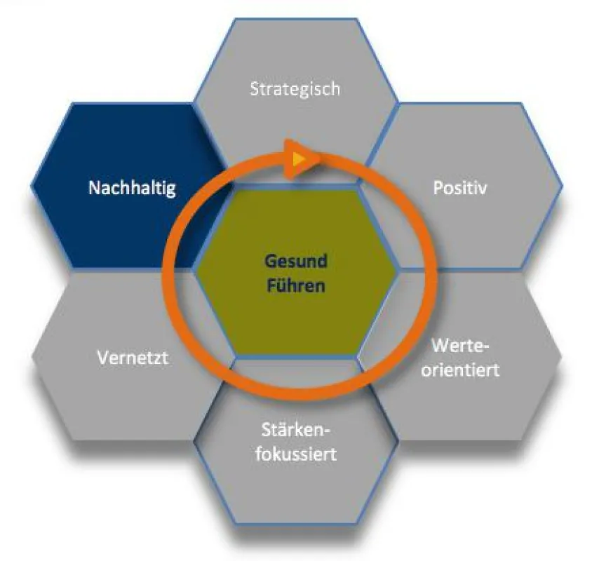 REFLECT: GESUNDE ORGANISATION