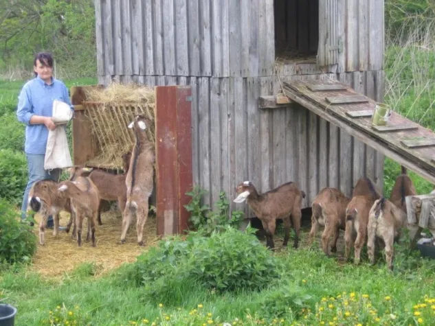 Bild: Arbeit verloren, Traumjob gefunden