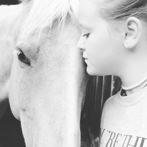 Bild: Pferdeflüstern als Online-Studium: Horsemanship Kombi mit Pferdeverhaltenstherapeut bei der EPA
