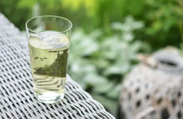 Bild: Genuss-Trend Cold Brew - Mizudashi Gyokuro Tee schmeckt kalt am besten