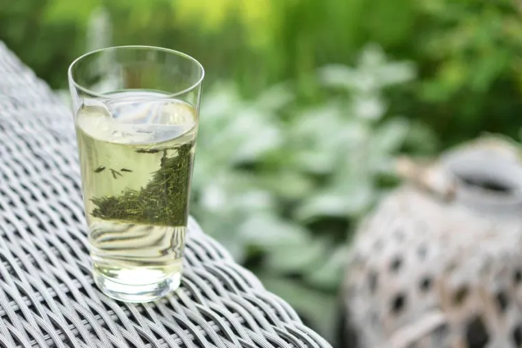 Bild: Genuss-Trend Cold Brew - Mizudashi Gyokuro Tee schmeckt kalt am besten