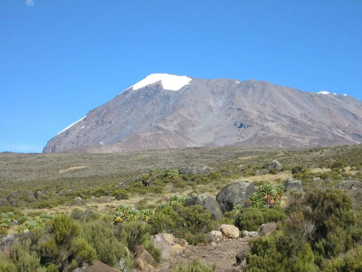Panoramablick auf den Kili