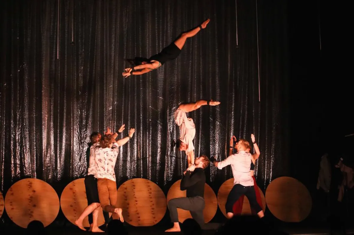 Out Of Chaos by Gravity And Other Myths, Copyright: Carnival Cinema