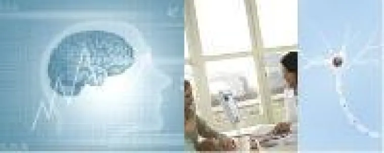 Bild: Neue Einblicke verschafft der Qualitätszirkel Neuro-, Stress- und Gesundheitsmanagement Bonn