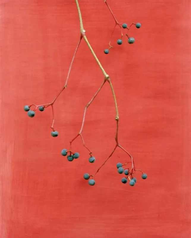 © Sylvia Henrich, Ohne Titel, 2010/2011