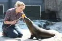 Nachwuchstalent aus der Schweiz im Erlebnis-Zoo Hannover Bild: Nachwuchstalent aus der Schweiz im Erlebnis-Zoo Hannover