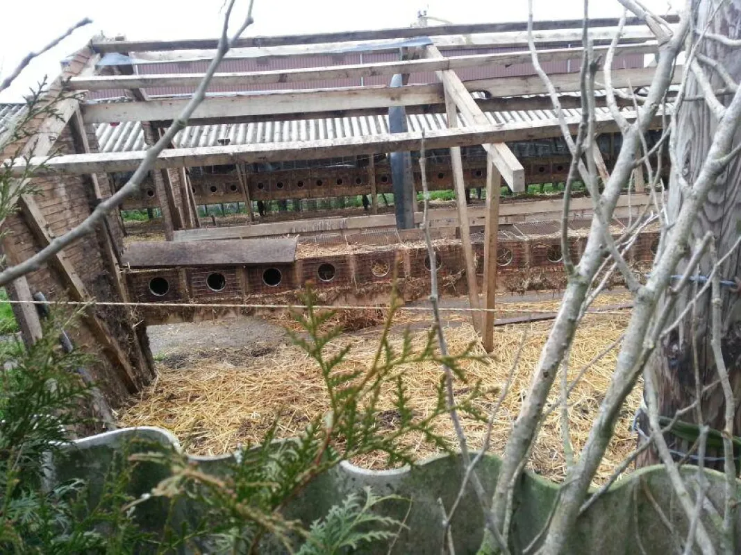 Die Nerzfarm in Borken steht leer (c) VIER PFOTEN, Karolin Frerix