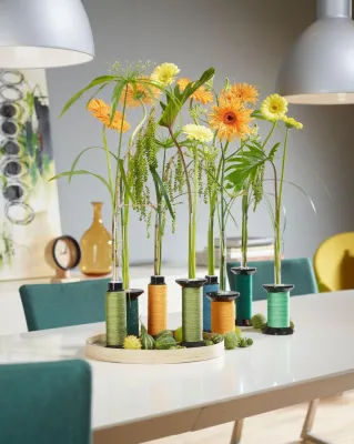 Sommerblume Gerbera: Eleganter Solokünstler in kreativer Vase Bild: Sommerblume Gerbera: Eleganter Solokünstler in kreativer Vase