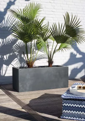 Bild: Pflanzkübel XXL für Terrasse & Garten