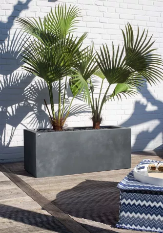 Pflanzkübel XXL für Terrasse & Garten Bild: Pflanzkübel XXL für Terrasse & Garten