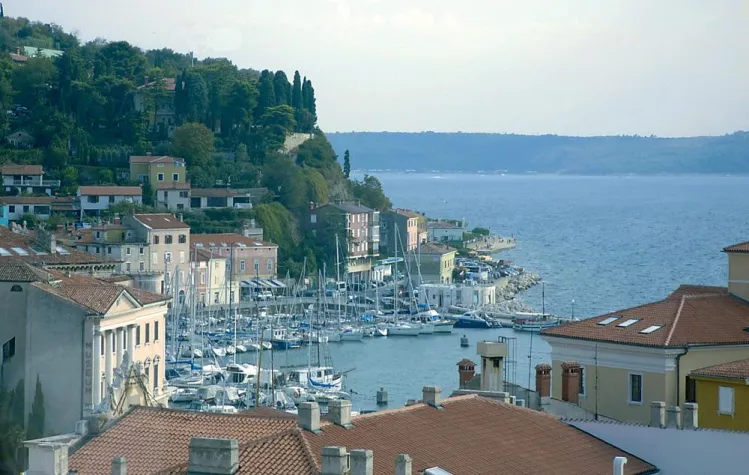 Bild: Segeln ist für alle da