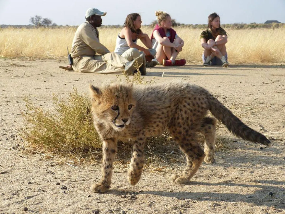 Volunteer World - made for meaningful travel