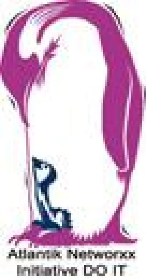 INITIATIVE DO IT e.V.