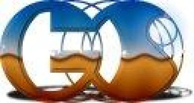 Bild: GAOS-Preis für beste Studienarbeit Mitteldeutschlands 2008