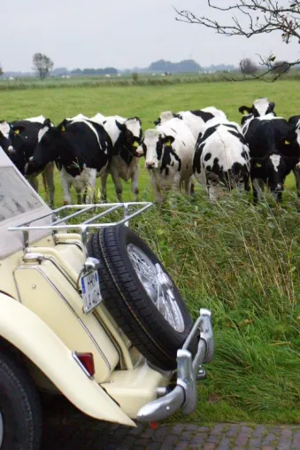 Bild: Im Oldtimer Ostfriesland er-fahren.
