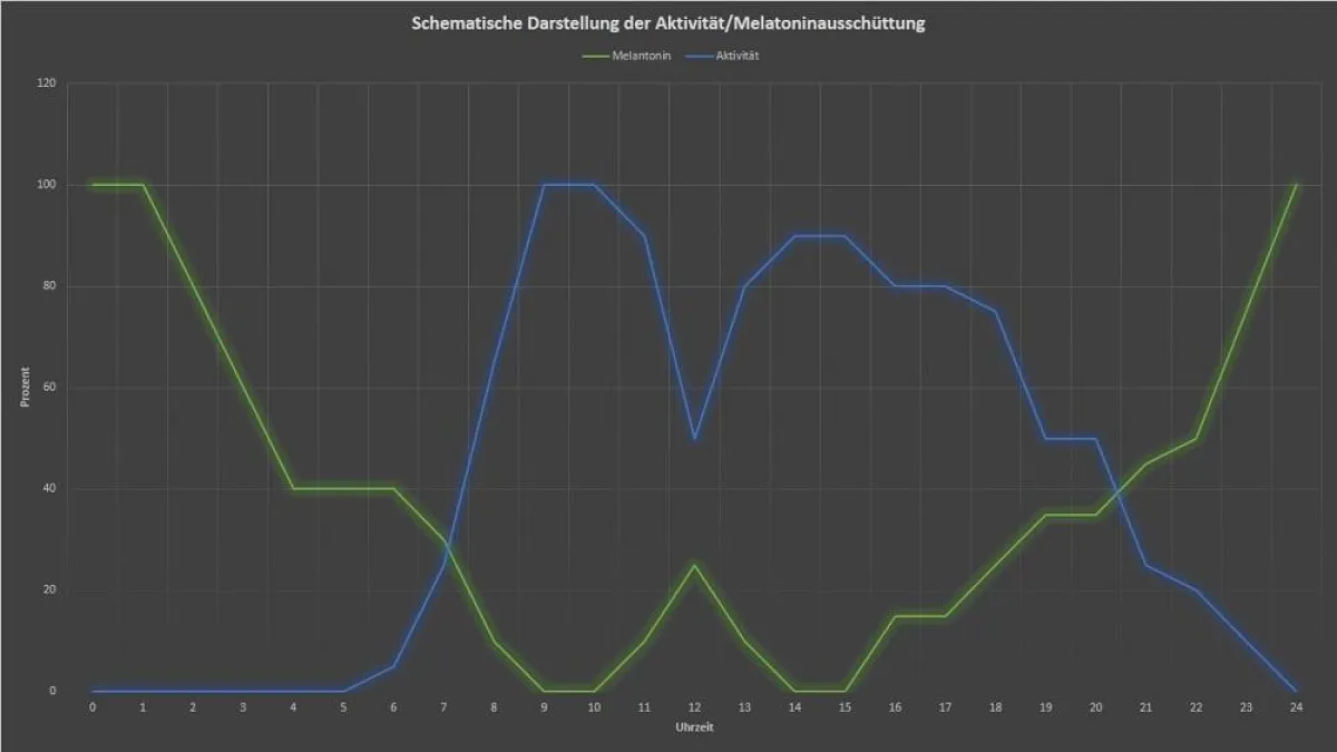 Melatoninausschüttung (schematisch und vereinfacht)