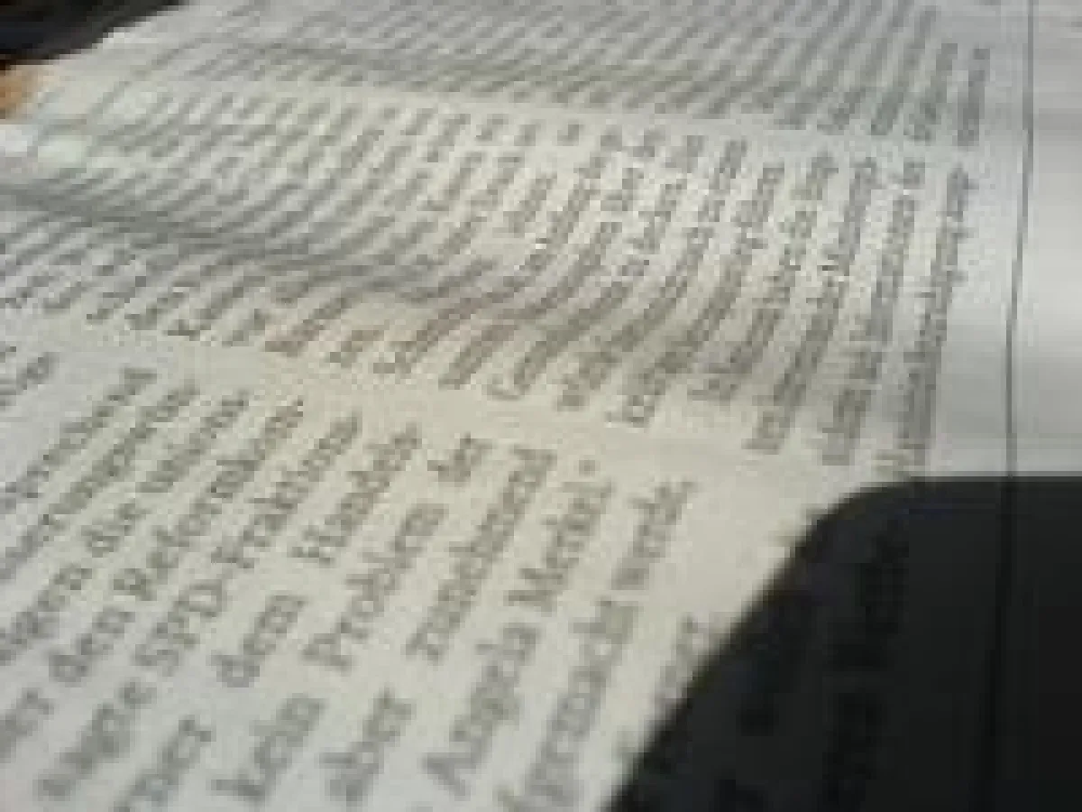 Präsentationsmöglichkeit durch \