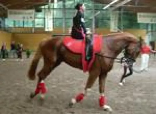 Bild: Nachtrag - Sächsische Meisterschaften im Voltigieren