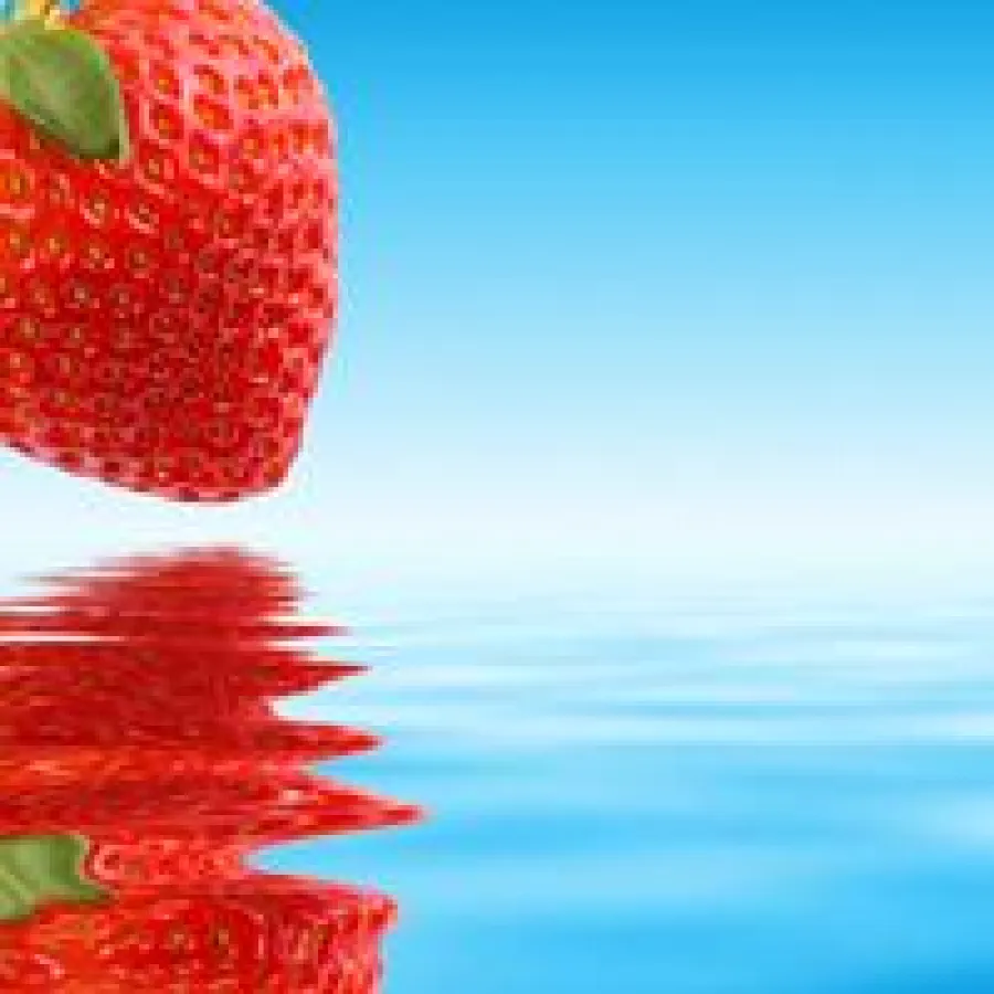 Einfach zum Anbeißen lecker! Es gibt mehr als 1000 Erdbeer-Zuchtarten