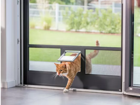 Bild: Insektenschutz in den eigenen vier Wänden für Hunde- und Katzenbesitzer