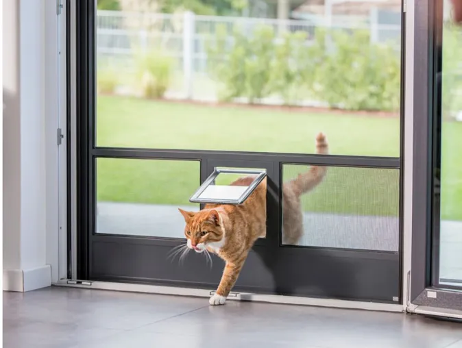 Insektenschutz in den eigenen vier Wänden für Hunde- und Katzenbesitzer Bild: Insektenschutz in den eigenen vier Wänden für Hunde- und Katzenbesitzer