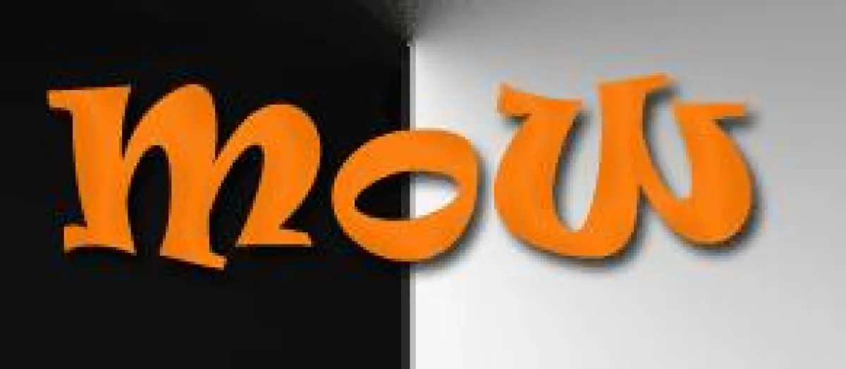 MAgic of Word - Das Zitate und Sprüche Portal