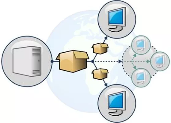 Bild: Studie zur Integration von Software-Verteilung- und Lizenz-Management