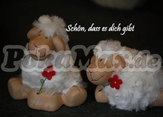 Bild: "Ich denke an dich": Mit aufmunternden Postkarten und PokaMax erfolgreich gegen die Herbstdepression