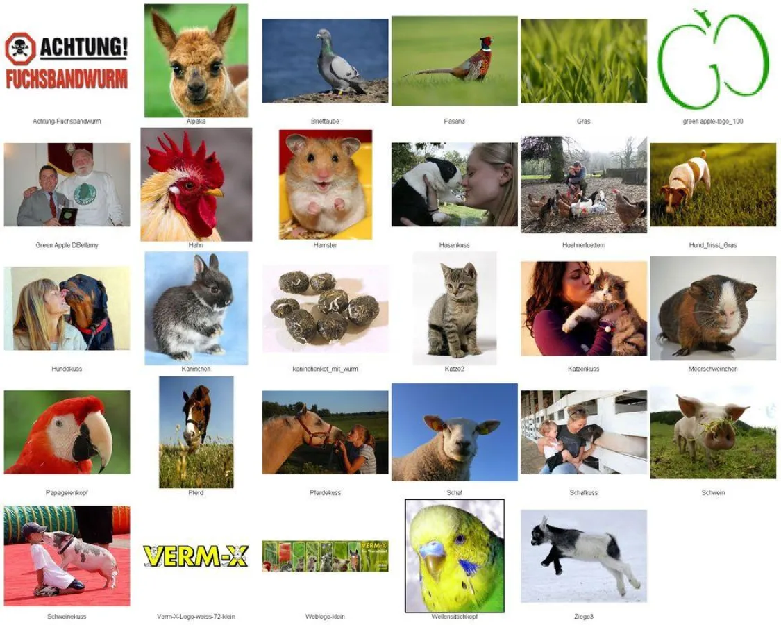 Die einzelnen Bilder senden wir gerne auf Anforderung in der gewünschten Auflösung zu.