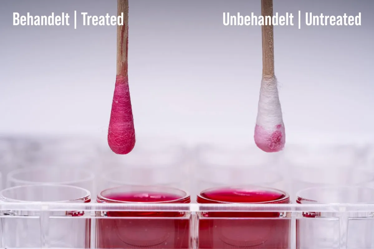 Abb. 1: Abstrichtupfer behandelt / unbehandelt